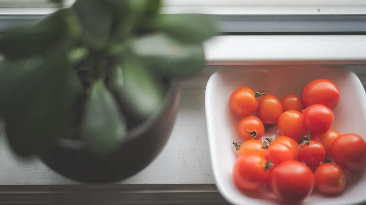 Quand et comment planter les tomates